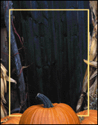 HA066 Monster Treaters