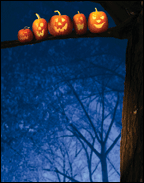 Halloween Trio
