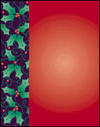 Holly Border