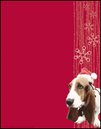 Santa Hype